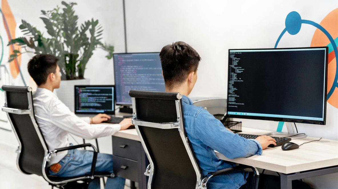 Software Development